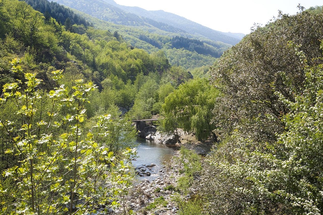 Logis Hotel-Restaurant Le Tanargue Valgorge 객실 사진